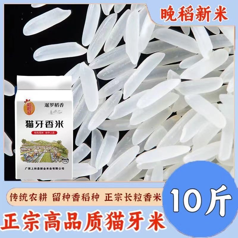 纯正猫牙香米广西特色米当季新米农家丝苗米大米炒饭煲仔饭米10斤,粮油调味/速食/干货/烘焙,大米,淘宝优惠券,粉丝福利购,淘宝优惠卷