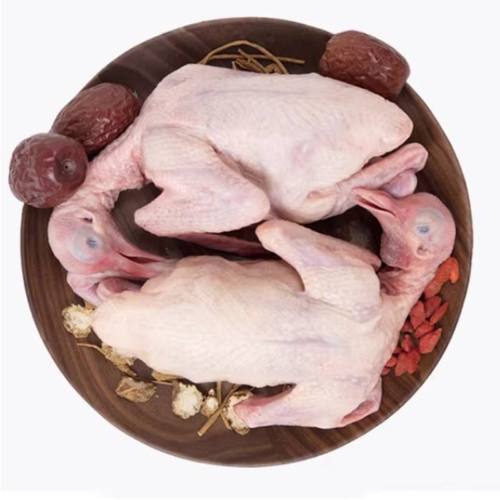 农家鸽子肉新鲜现杀乳鸽子土鸽子汤肉生鲜农家散养1只300克即6两