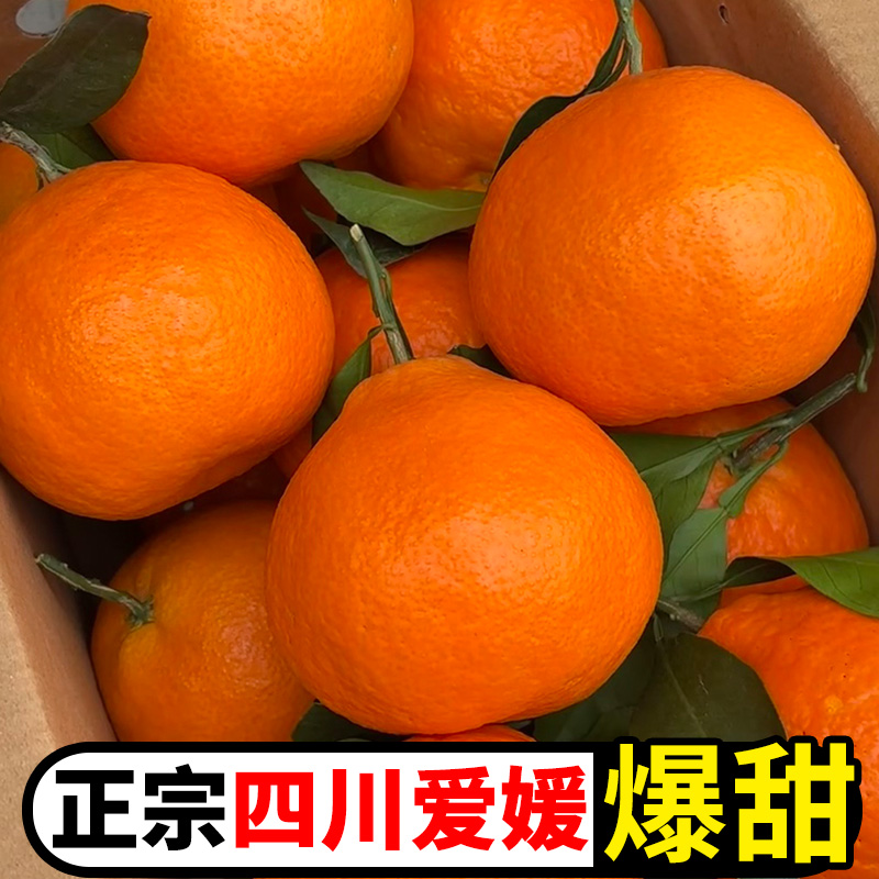 正宗四川爱媛38号果冻橙新鲜橙子应当季孕妇水果眉山柑橘10斤整箱