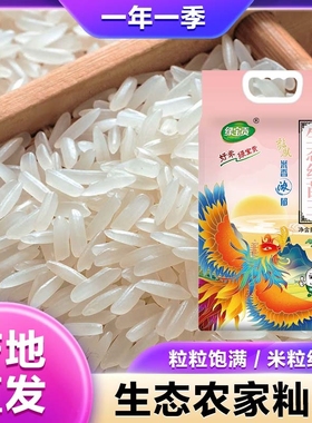 大米丝苗米独立包装优质新米长粒香生态真空籼米绿色糯香米饭食用