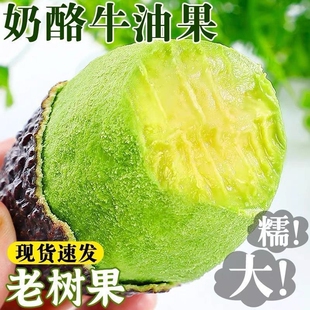哈斯牛油果新鲜水果大果15当季个整箱包邮熟透即食一级鳄梨应整箱