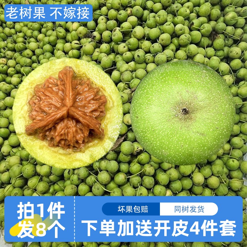 文玩核桃青皮精品盘玩把件狮子头官帽盘山小众冷门文玩古玩核桃