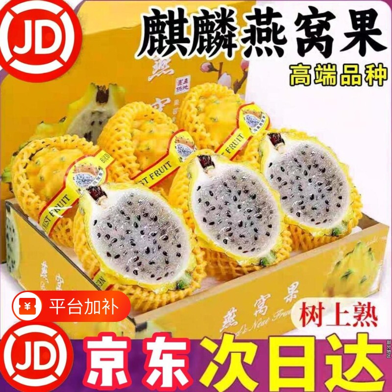 海南特产麒麟燕窝果彩箱正宗海南大果罕见黄皮火龙果礼盒装新鲜