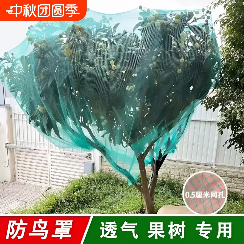 嘉宝果树网罩防鸟罩防鸟围网果园防鸟网樱桃树防冰雹网防护网盆景图片