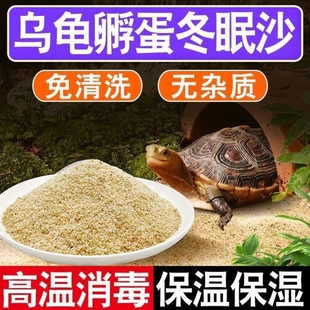 乌龟冬眠孵化产蛋细沙子龟缸造景装 饰巴西龟铺底专用石头河沙苔藓