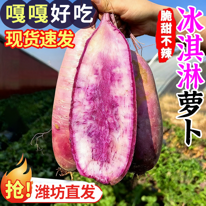 潍坊冰淇淋水果萝卜新鲜水果脆甜萝卜现挖紫皮萝卜可生吃蔬菜炖汤