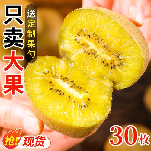 正宗黄心猕猴桃蒲江奇异果大果新鲜当季水果整箱包邮超甜泥弥猴桃
