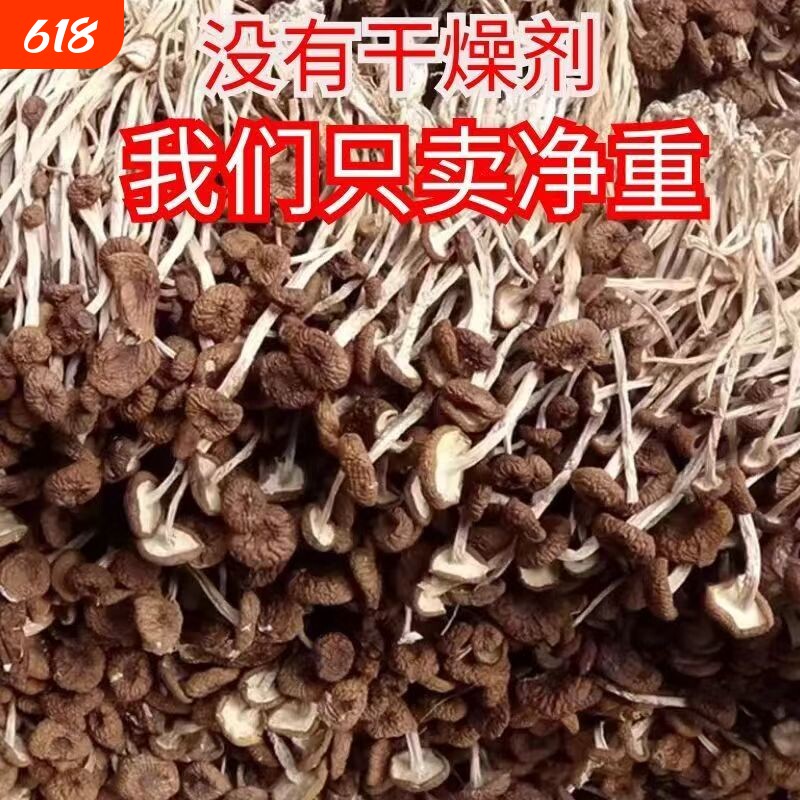 净重新货古田茶树菇干货鲜嫩农家茶薪菇不硫熏超值香菇美味年货