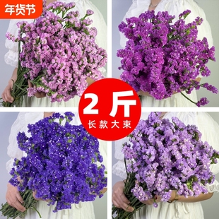 干花花束客厅摆设装饰摆件云南真花风干天然鲜花批发满天星勿忘我