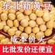 东北黑龙江黄豆农家自产五谷杂粮豆浆豆芽非转基因新货原味精选