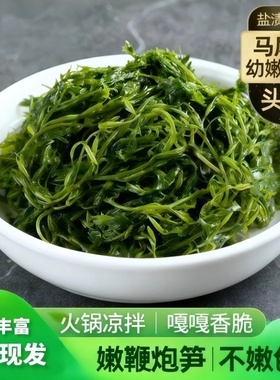 鞭炮笋新鲜海藻羊栖菜火锅凉拌菜海草火炮菜盐渍马尾藻营养长寿菜