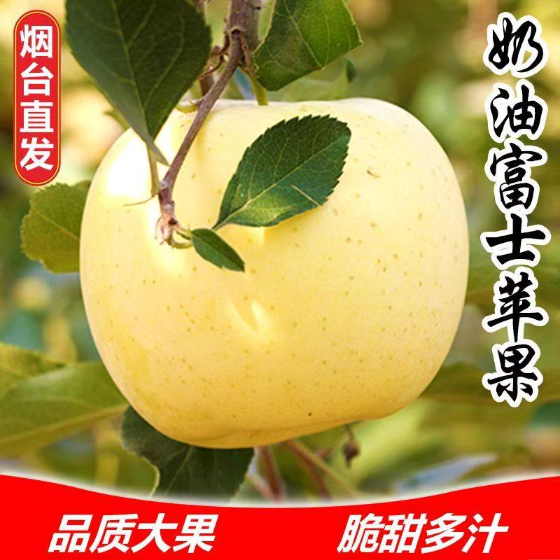 正宗山东黄金奶油富士苹果新鲜水果2025年新苹果脆甜多汁霜降采摘,水产肉类/新鲜蔬果/熟食,苹果,淘宝优惠券,粉丝福利购,淘宝优惠卷