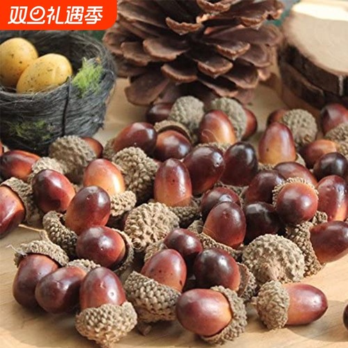 拍照松果树枝橡壳果干果松果模型手工小榛果大橡子幼儿园仿真装饰