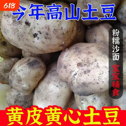 新鲜土豆黄心马铃薯黄皮