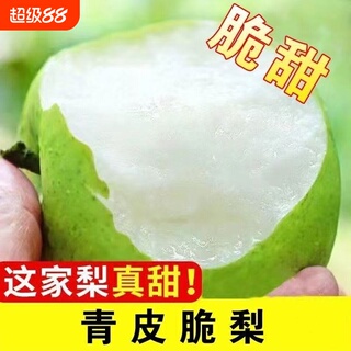 当季新梨酥脆一号皇冠梨青梨新鲜水果特产香甜脆现摘梨子青皮翠玉