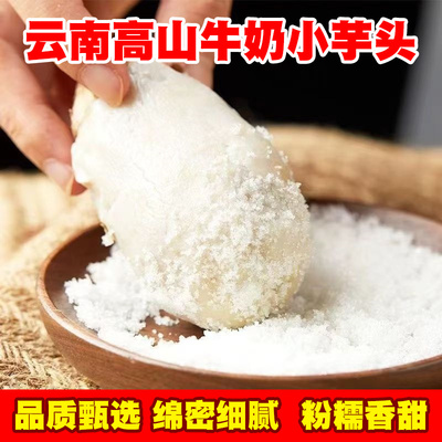 云南高山毛芋头粉糯香甜