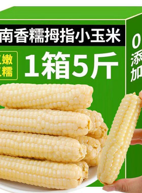 云南西双版纳拇指小玉米新鲜香糯小手指迷你袖珍儿童玉米