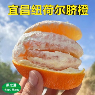 新鲜水果宜昌脐橙鲜甜多汁纽荷尔脐橙榨汁橙子当季孕妇幼儿可榨汁