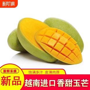 包邮 越南玉芒新鲜现摘大果爆甜多汁爽口核小肉厚当季 热带芒果整箱