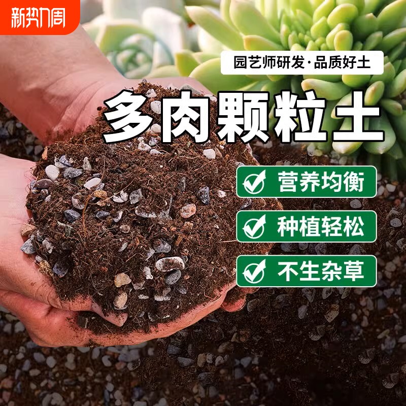 多肉专用颗粒土多肉植物营养土肉肉盆栽铺面石叶插纯颗粒种植土壤