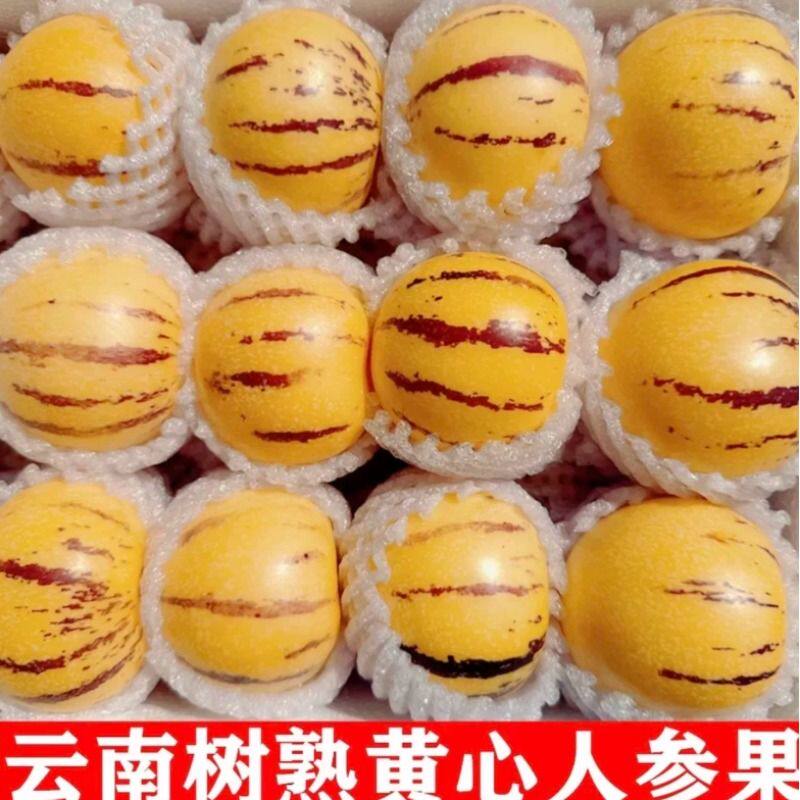 云南人参果新鲜水果大果黄肉石林人叁果树上熟人生果圆果整箱树熟