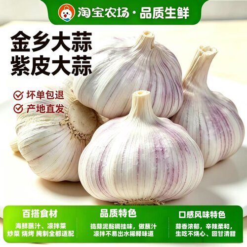 金乡新鲜大蒜农家自种
