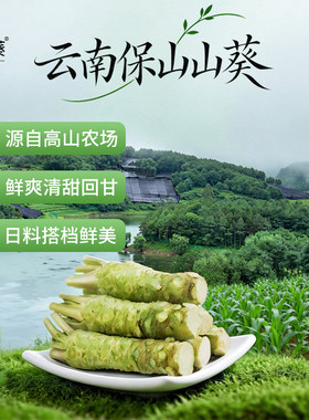 本山葵正宗云南鲜山葵0添加芥末