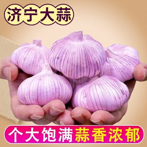 超实惠干蒜大蒜头每购