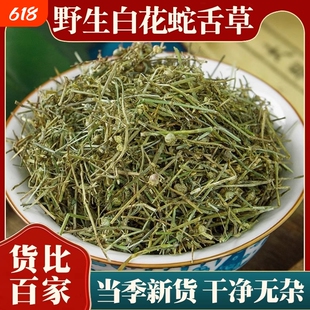 野生白花蛇舌草中药材正品新鲜干货蛇舌草茶半枝莲泡水官方旗舰店