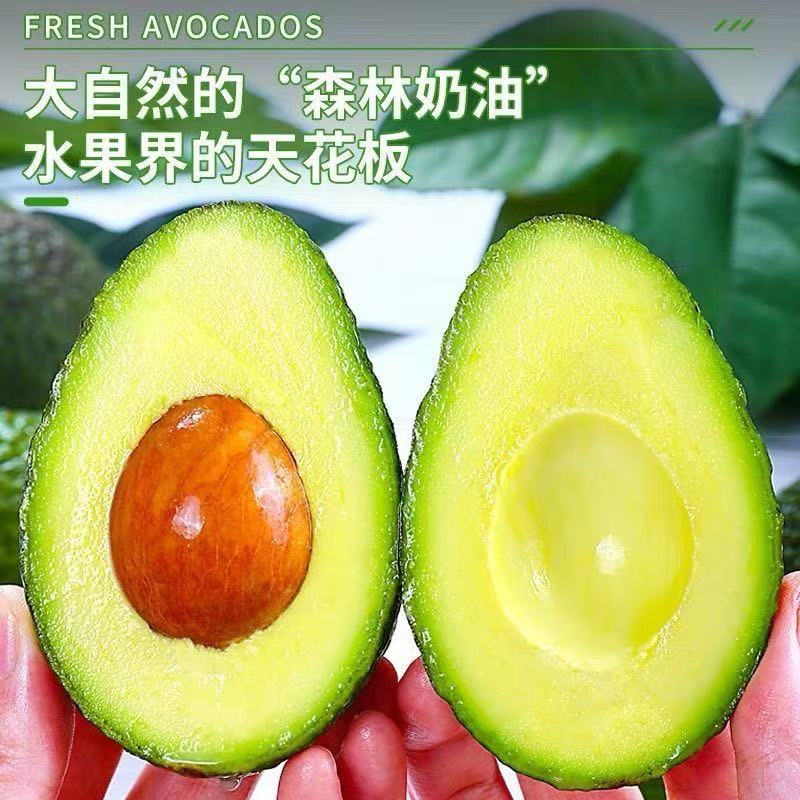 绵密醇香国产云南哈斯牛油果精选新鲜水果辅食代餐鳄梨牛油果包邮