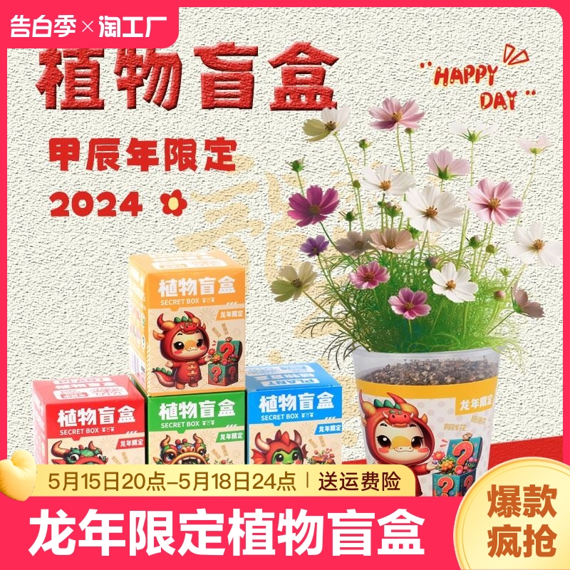 晓梦新春儿童节学生生日活动礼物