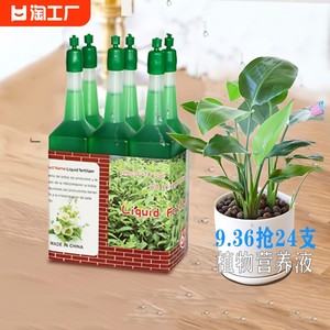 植物营养液通用型盆栽绿萝富贵竹