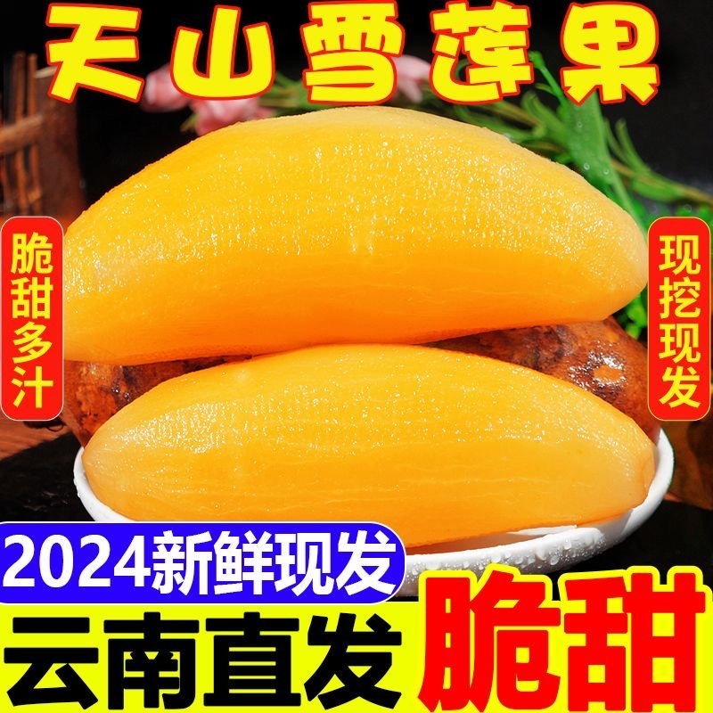 【优质】云南天山雪莲果新鲜红黄心特级脆甜多汁孕妇水果雪莲果甜