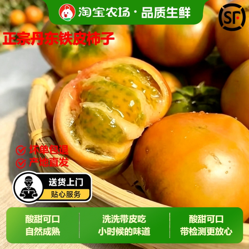 丹东铁皮柿子自然熟生吃新鲜铁皮西红柿当季绿腚番茄水果顺丰沙瓤