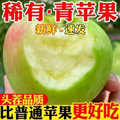 【活动价】正宗青森苹果新鲜当季孕妇水果脆甜水蜜桃苹果礼盒W3