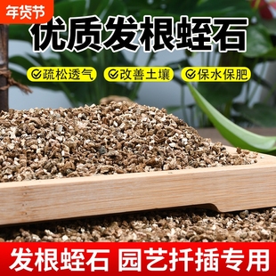 蛭石月季扦插养花专用土乌龟蛋孵化珍珠岩颗粒土育苗土壤种花疏松
