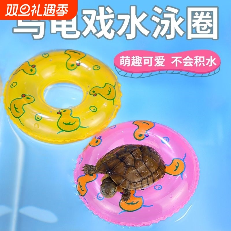 乌龟游泳圈迷你水上漂甜甜圈宠物洗澡玩水小玩具小乌龟戏水小泳圈