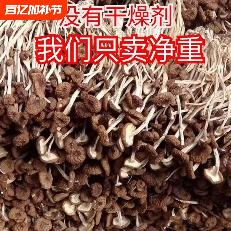 净重新货古田茶树菇干货鲜嫩农家茶薪菇不硫熏超值香菇美味年货