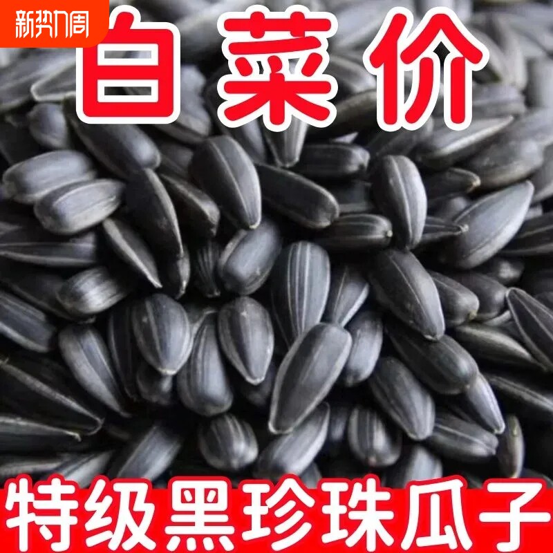 新货油葵黑珍珠瓜子500g油葵小瓜子现炒熟原味生葵花籽小油葵种籽