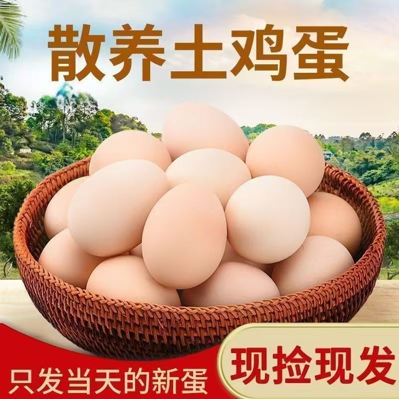 农家新鲜鸡蛋现捡散养柴鸡蛋营养鲜鸡蛋土鸡蛋月子蛋整箱批发,水产肉类/新鲜蔬果/熟食,鸡蛋,淘宝优惠券,粉丝福利购,淘宝优惠卷