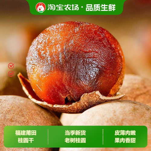 新货桂圆干龙眼干大果肉厚龙眼肉干食材桂圆干桂圆桂圆肉红枣即食