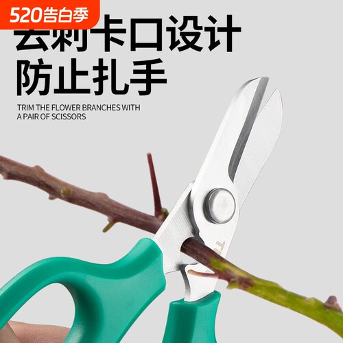 花剪园艺修枝剪花店玫瑰打刺剪子