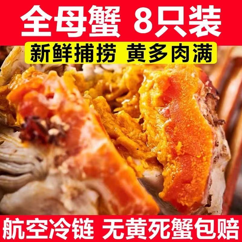 现货大闸蟹活蟹鲜活全母螃蟹海鲜生鲜水产礼盒装8只含绳蟹工具