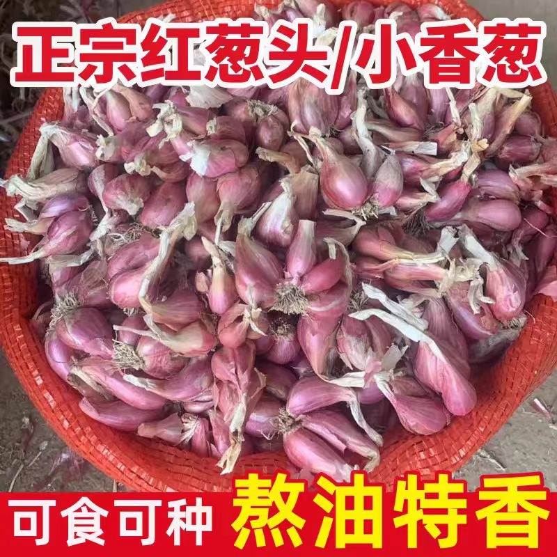 饱满红葱头0.5斤|超2000次加购