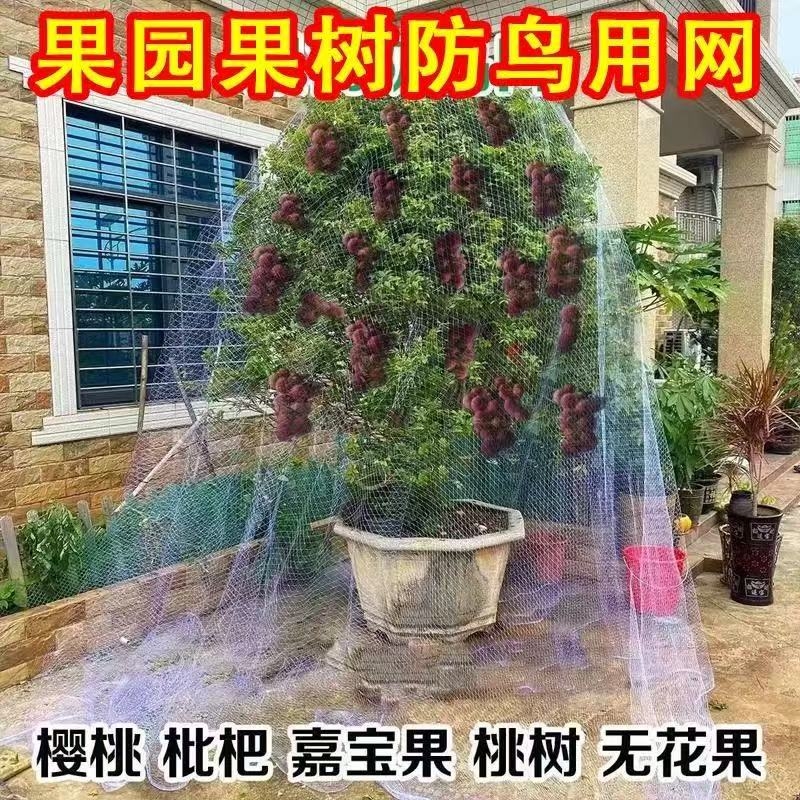 果园专用果树防鸟网稻谷农作物防鸟网鱼虾蟹塘防鸟网果树防鸟罩