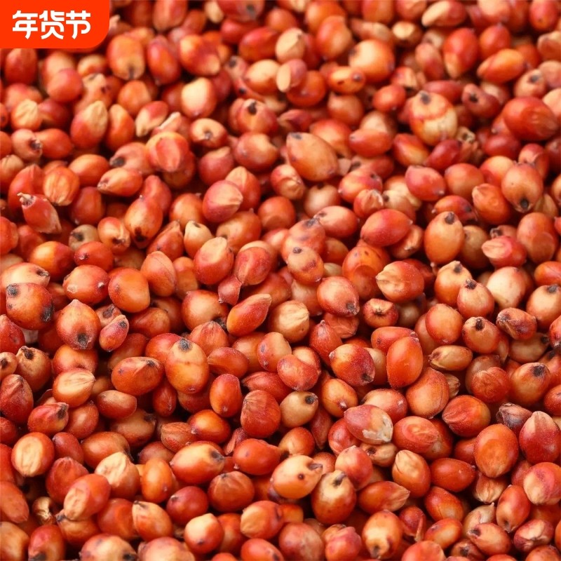 红高粱喂鸽子粮食去壳带皮鸟食信鸽观赏鸽肉鸽幼鸽成鸽粮饲料