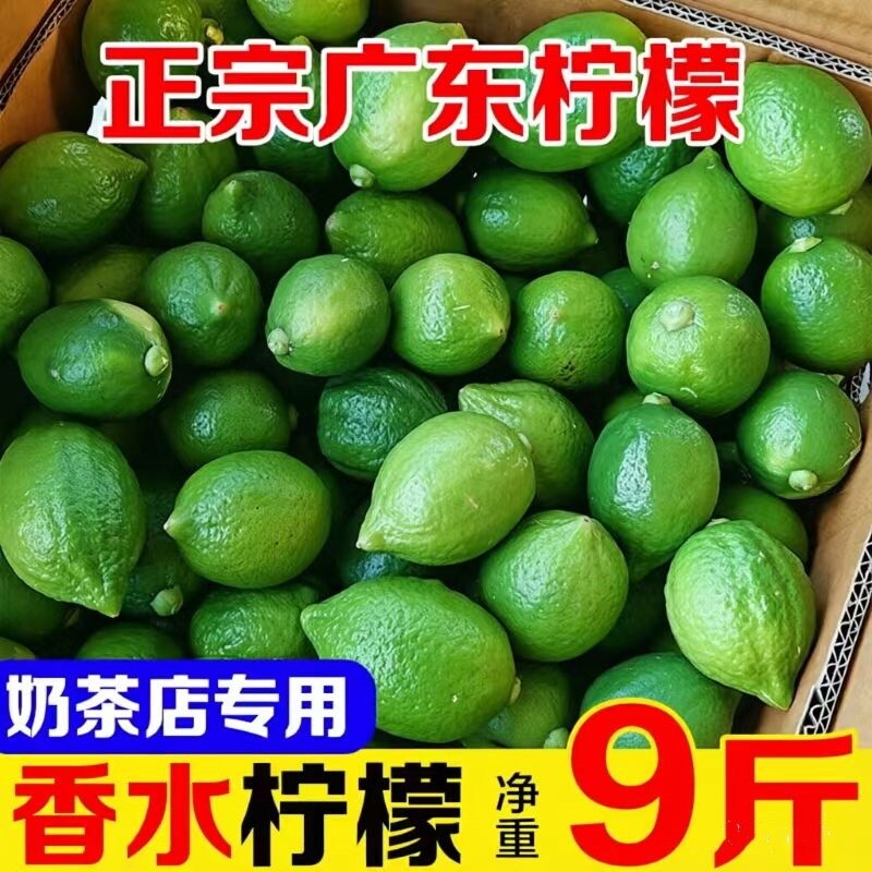 香水柠檬新鲜广东无籽奶茶店专用手打商用青柠二级果本地新鲜现摘