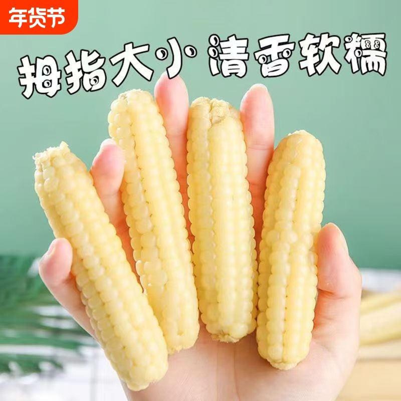 云南西双版纳儿童拇指玉米宝宝辅食新鲜手指玉米香糯小玉米轻食,粮油调味/速食/干货/烘焙,玉米,淘宝优惠券,粉丝福利购,淘宝优惠卷