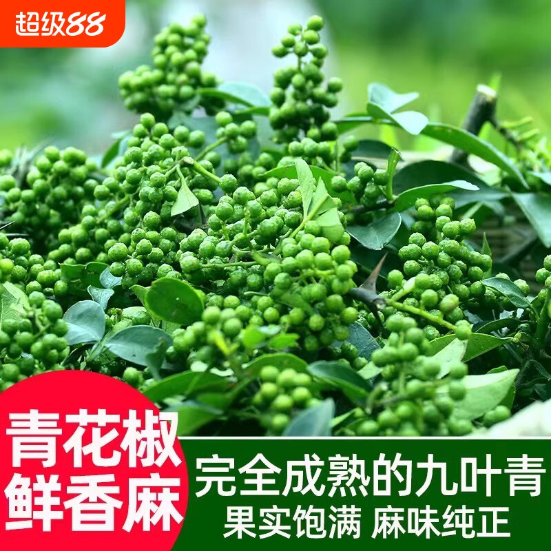 九叶青新鲜花椒重庆江津特产350g保鲜生麻椒粒鲜青藤椒鲜花椒食用