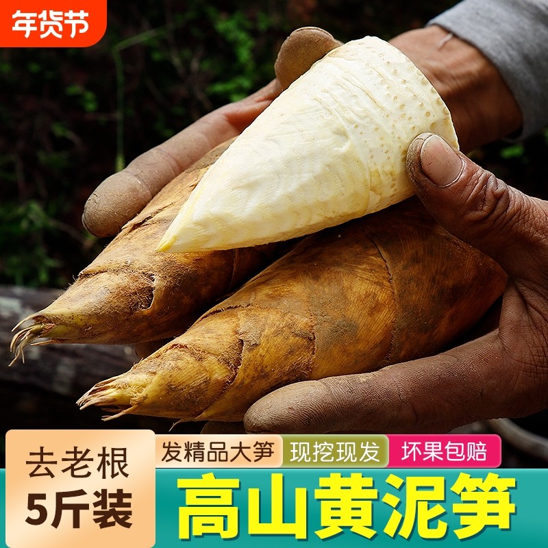 冬笋新鲜现挖野生农家高山黄泥笋带壳去老根楠竹笋蔬菜当季蔬菜,水产肉类/新鲜蔬果/熟食,竹笋,淘宝优惠券,粉丝福利购,淘宝优惠卷